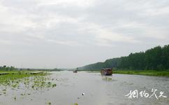 台兒庄運河濕地公園旅遊攻略之運河