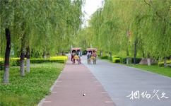 西安灞桥生态湿地公园旅游攻略之绿动灞水运动公园