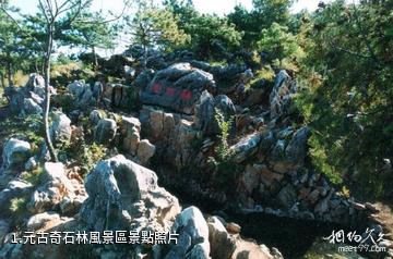 元古奇石林風景區照片