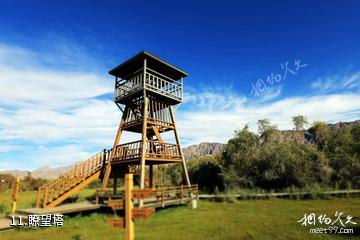 新疆乌什沙棘林湿地公园-瞭望塔照片