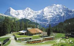瑞士少女峰旅游攻略之温特艾格