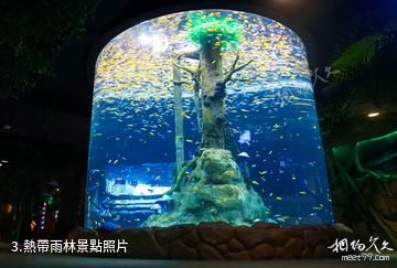 重慶漢海海洋公園-熱帶雨林照片
