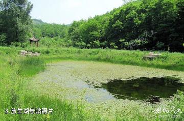 扶風野河山生態旅遊景區-放生湖照片