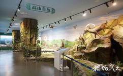 阿克苏地区文博院博物馆旅游攻略之阿克苏自然地理厅