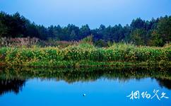 新津白鹤滩国家湿地公园旅游攻略之荻溪湖