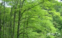 米倉山國家森林公園旅遊攻略之萬字山