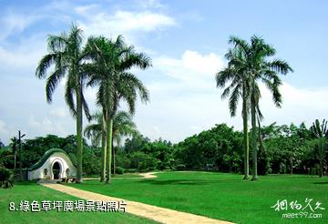 湛江南亞熱帶植物園-綠色草坪廣場照片