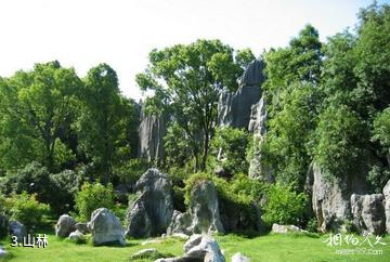 元古奇石林风景区-山林照片