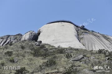 福建闽江源国家级自然保护区-白石顶照片