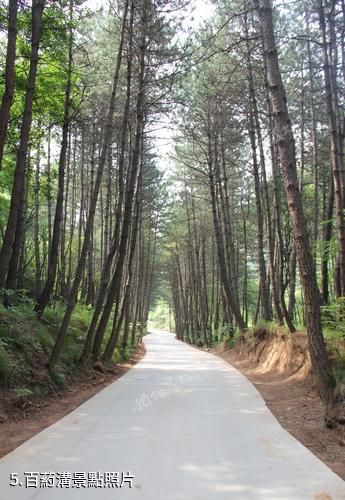 陝西延安黃陵國家森林公園-百葯溝照片