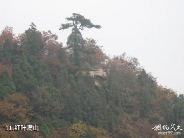 遵化鹫峰山-红叶满山照片