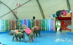 東莞香市動物園旅遊攻略之綜合表演館