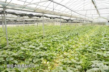 嘉興金龍門生態休閑園-種植大棚照片