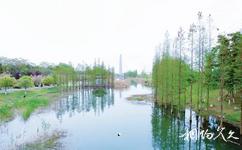 成都青白江凤凰湖旅游攻略之湿地