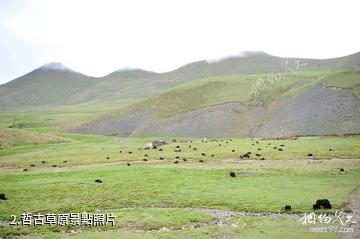 西藏哲古風景區-哲古草原照片