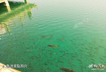 和田市崑崙公園-魚池照片