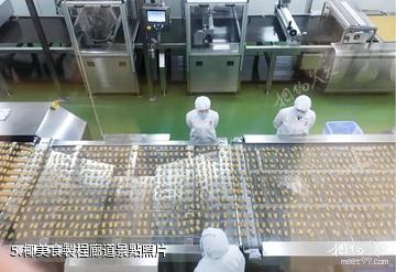 文昌春光椰子王國-椰美食製程廊道照片