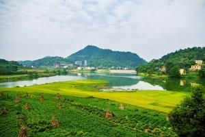 重庆巴南双河口旅游攻略-双河口镇景点排行榜