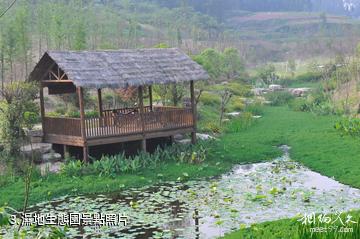 南川黎香湖濕地生態園-濕地生態園照片