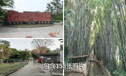 湛江寸金橋公園驢友相冊