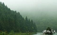 庆元县百山祖国家级自然公园旅游攻略之原始森林