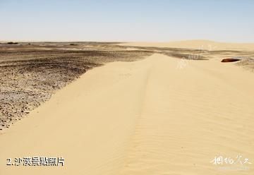 尼日泰內雷沙漠-沙漠照片