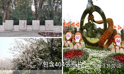 上海顧村公園驢友相冊