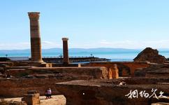 突尼西亞市旅遊攻略之迦太基古城遺址