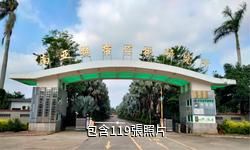 湛江南亞熱帶植物園驢友相冊