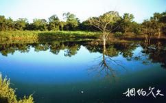 海南大田国家级自然保护区旅游攻略之水资源
