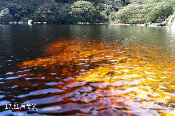 冕宁灵山风景区-红海金光照片