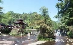 臨滄五老山國家森林公園旅遊攻略之金竹林大疊水
