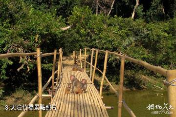 廣西龍虎山風景名勝區-天險竹橋照片