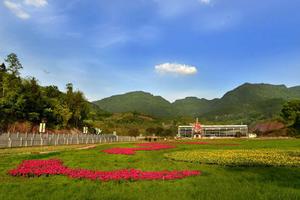 四川達州通川盤石旅遊攻略-磐石鄉景點排行榜