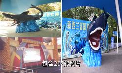 北京工体富国海底世界驴友相册