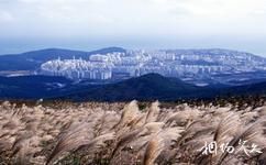 韓國海雲台旅遊攻略之海雲台萇山