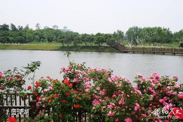 苏州相城盛泽湖月季园-盛泽湖照片