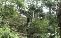 四川大邑鶴鳴山旅遊攻略之林木
