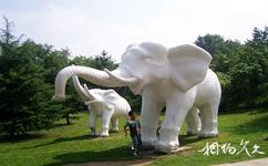 安丘青雲山民俗遊樂園旅遊攻略之大象迎賓
