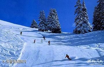 長春蓮花山滑雪場-滑雪照片