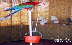 大慶璫奈濕地旅遊攻略之鳥類表演區