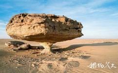尼日尔泰内雷沙漠旅游攻略之石漠