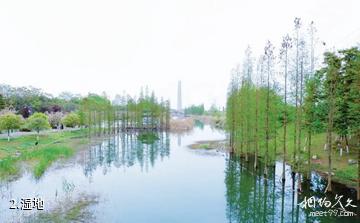 成都青白江凤凰湖-湿地照片