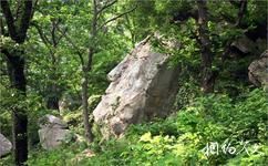 洛陽宜陽花果山國家森林公園旅遊攻略之唐僧石