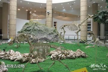 和政古动物化石博物馆-和政古动物照片