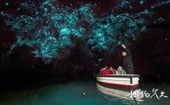 紐西蘭懷托摩螢火蟲洞旅遊攻略