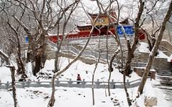 皇藏峪国家森林公园旅游攻略之瑞云寺