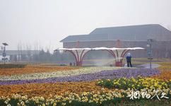 錦州世界園林博覽會旅遊攻略之花河錦簇景觀帶