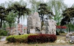 北京新发地海子公园旅游攻略之巨石盆景
