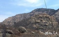 泰安徂徕山国家森林公园旅游攻略之金鱼石